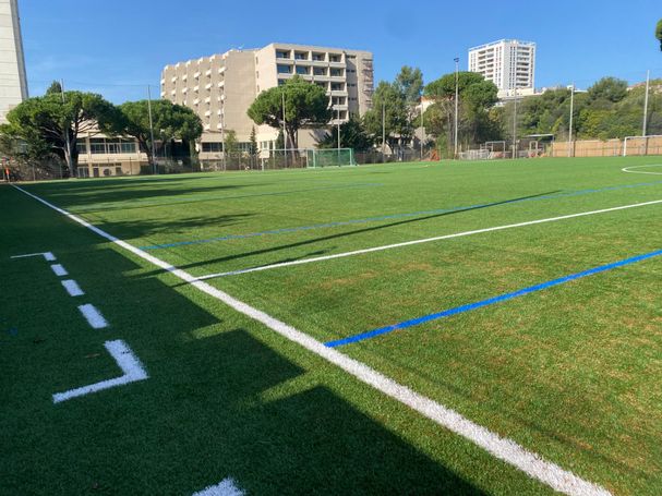 stade de foot
